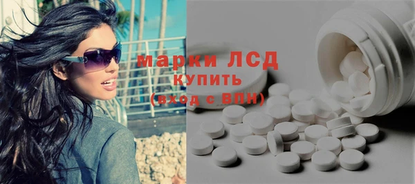 прущие грибы Арсеньев