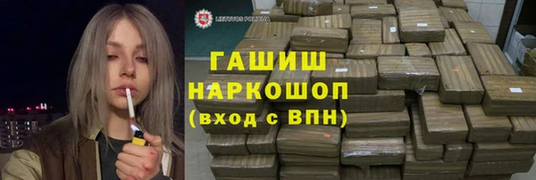 прущий лед Алзамай